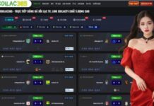 Master the Market with Xoilac and Ty Le Keo Insights Unmatched Accessibility